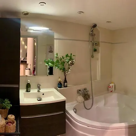 Appartement Loft Atypique Centre
